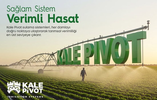 Kale Pivot